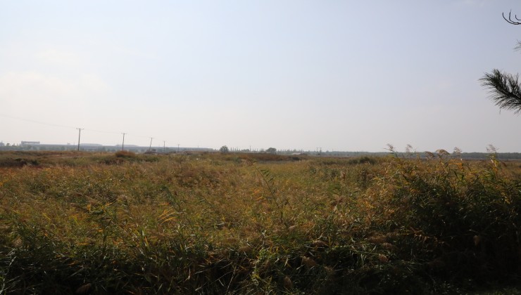 營(yíng)口華君凈地535259.2㎡