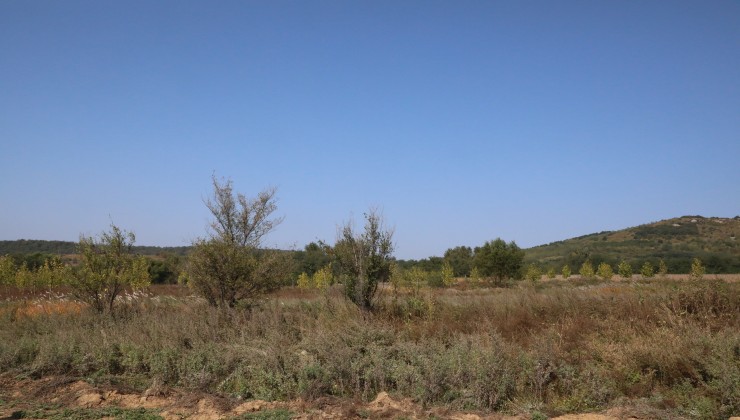 營(yíng)口思拉堡溫泉凈地