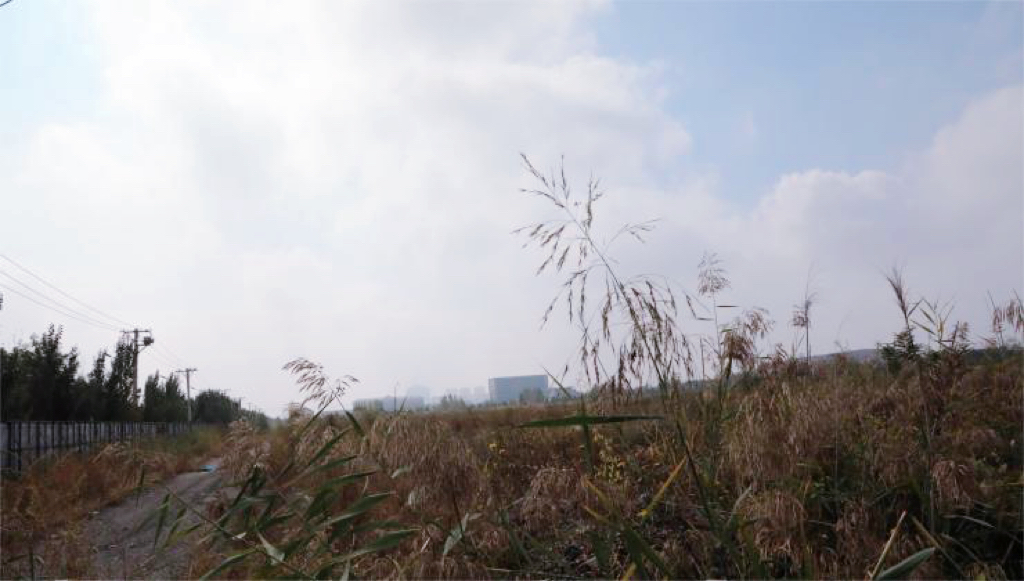 營(yíng)口華府人家一期