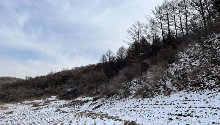 遼陽鐵西糧庫物資站林權(quán)